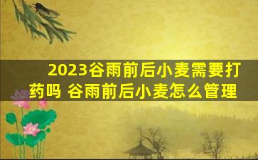 2023谷雨前后小麦需要打药吗 谷雨前后小麦怎么管理